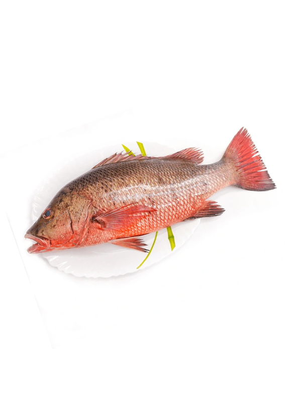 Chempalli 3 kg up size-( whole) - 500 gm Chempalli 3 kg up size-( whole) - 500 gm