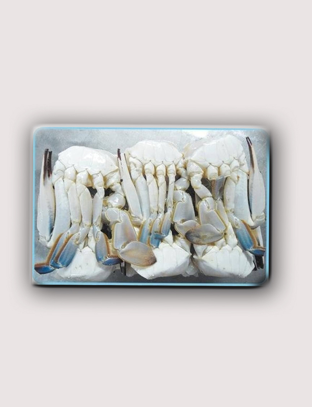 CRAB SEA -(CUT /CLEANED ) - 500gm CRAB SEA -(CUT /CLEANED ) - 500gm
